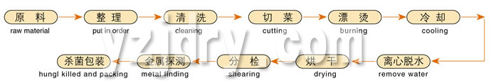 DWC系列脱水蔬菜带式干燥机工艺流程图